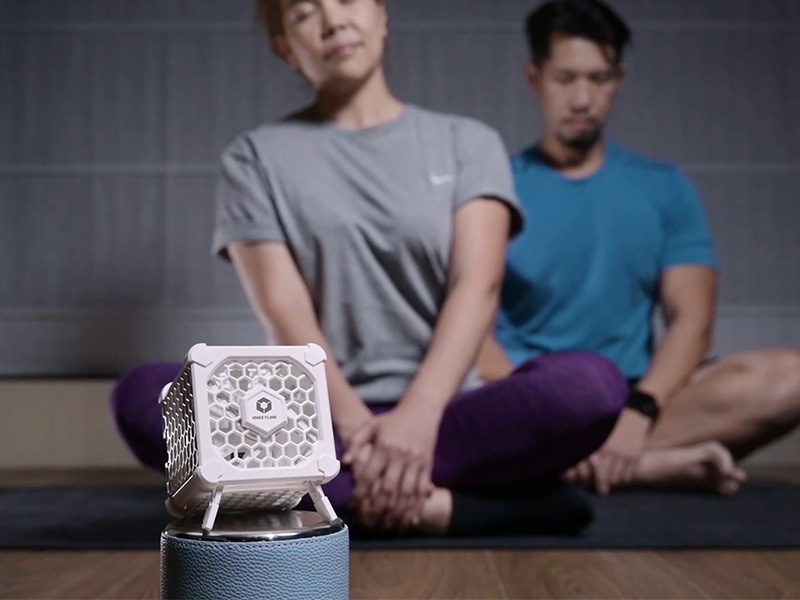 Ionix Flow Portable Air Purifier